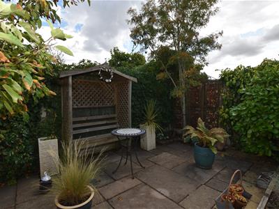 Picture 20